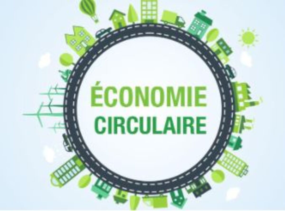 Nouvelle promo du DU économie circulaire & intelligence collective