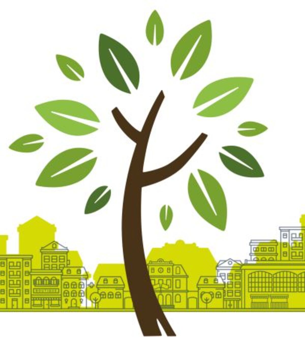 Conférence sur les arbres : Les arbres pour plus de fraicheur en ville