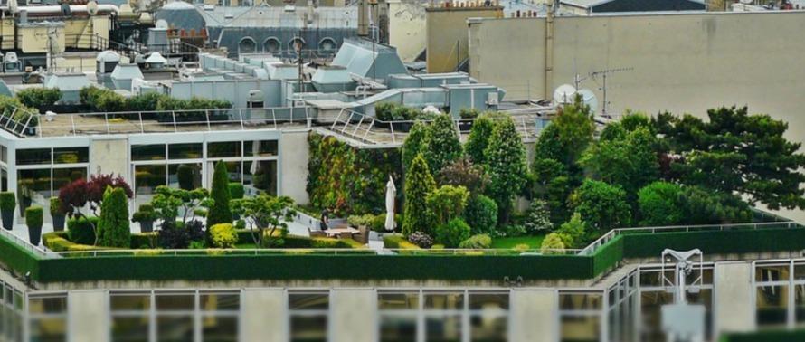 Appel à projets Nature 2050 – Métropole du Grand Paris