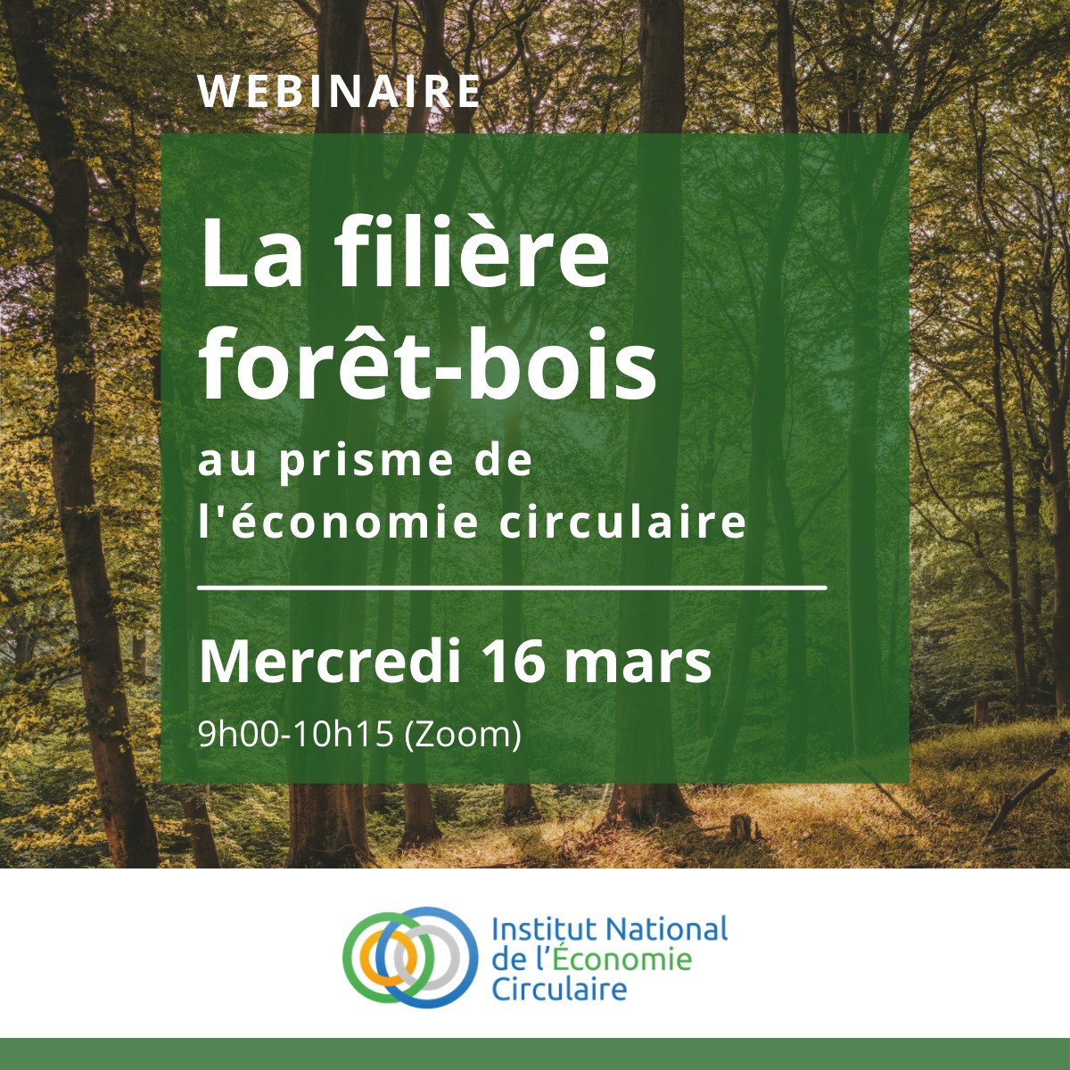 Webinaire: La filière forêt-bois au prisme de l'économie circulaire 